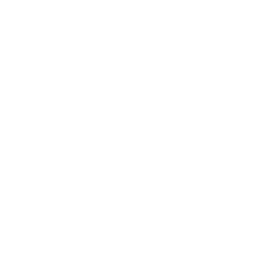 Final Check Icon