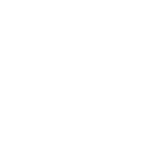 Professional Repair Icon