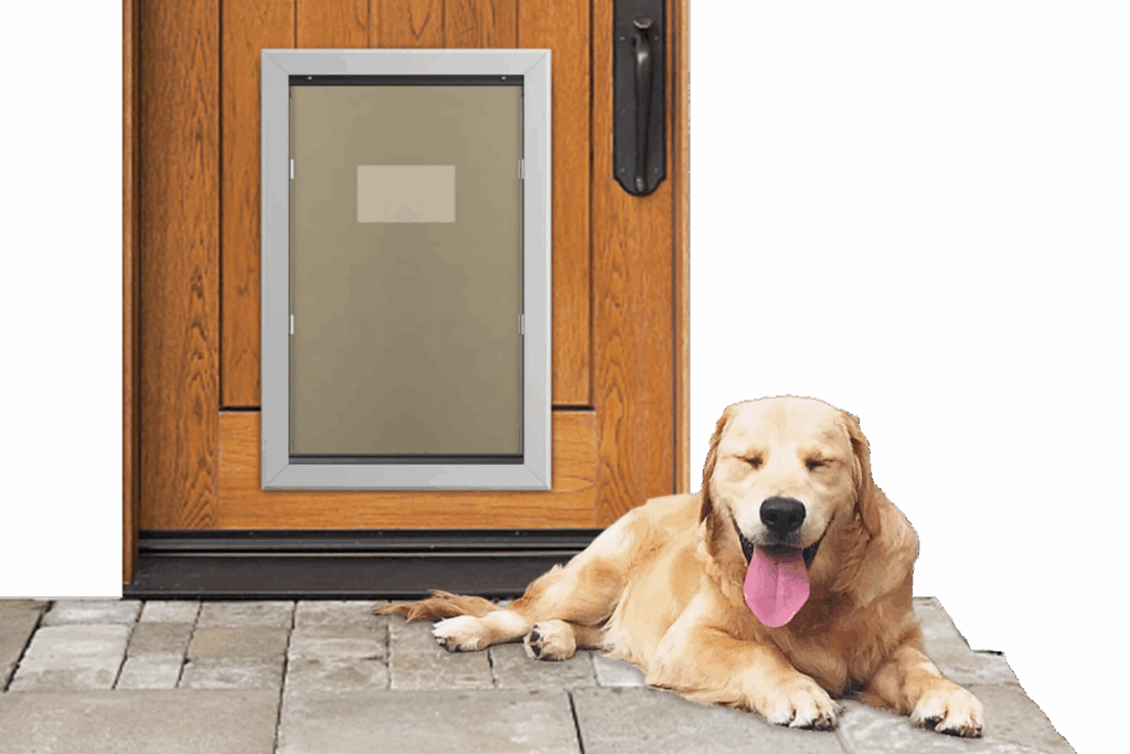 Dog Door