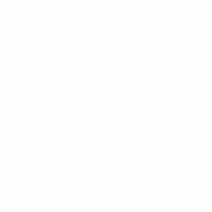 Insulated Core