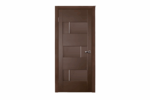 Modern Door